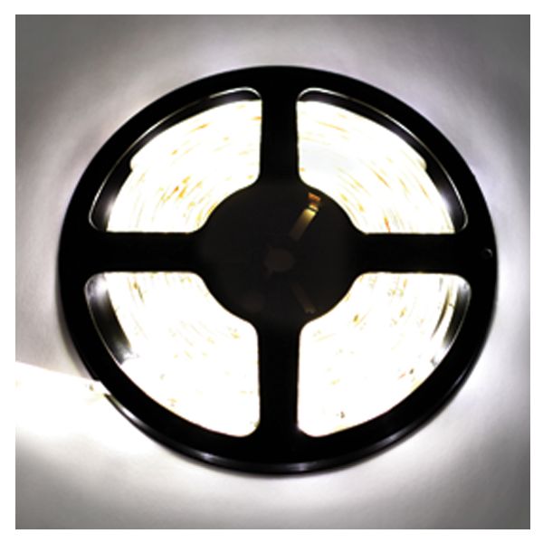 Ecola LED strip 220V STD 7,2W/m IP68 14x7 30Led/m 6000K 12Lm/LED 360Lm/m ����� 50�.